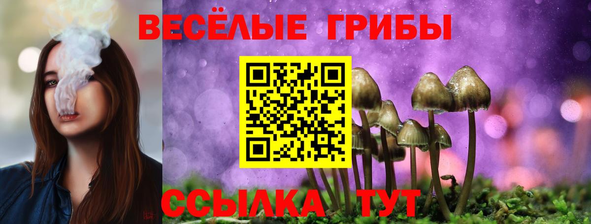Кудрово  Галлюциногенные грибы прущие грибы  Вход с VPN 